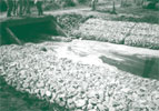 Loonbedrijf Kennes foto uit de oude doos